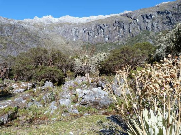 Sierra Nevada