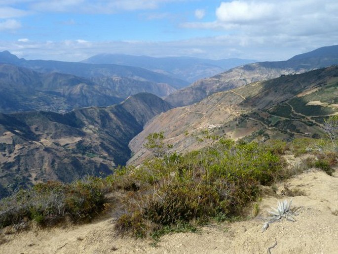 Sierra Nevada