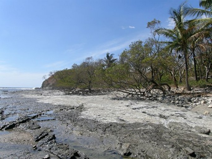 Kostarika, Reserva Biológica Nosara