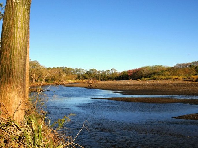 Kostarika, Reserva Biológica Nosara