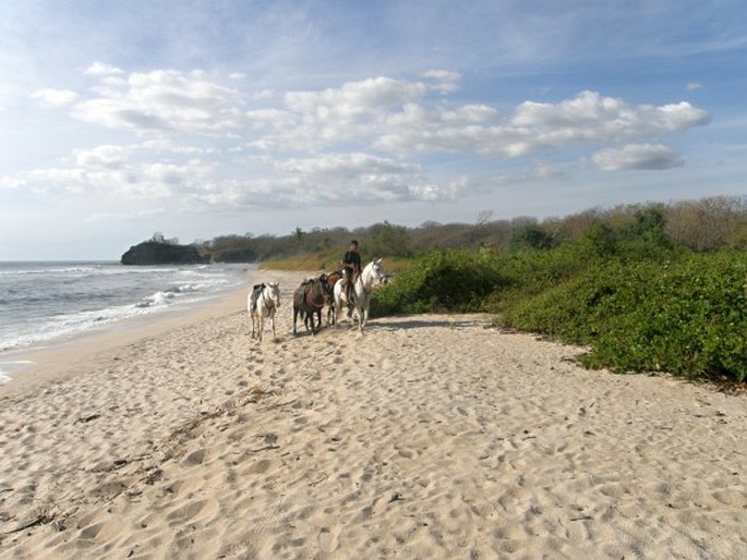 Kostarika, Reserva Biológica Nosara