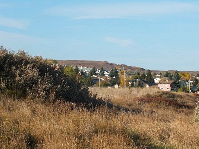 Nose Hill Park and Confluence Park