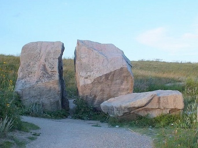 Nose Hill Park and Confluence Park