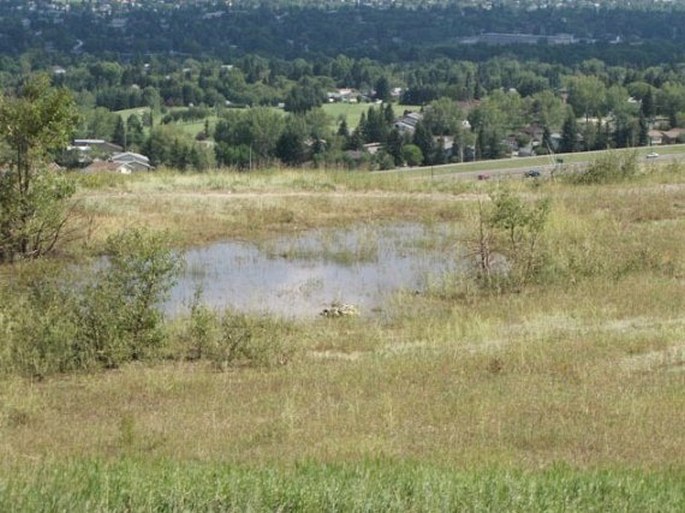 Nose Hill Park and Confluence Park