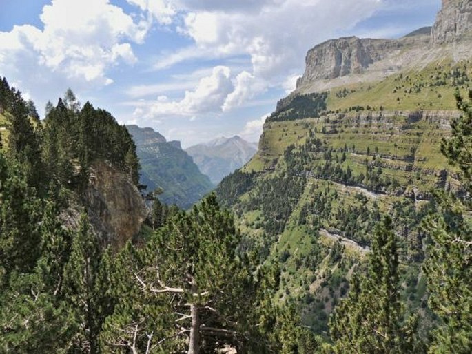 Ordesa y Monte Perdido