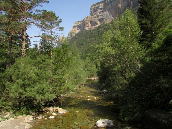 Ordesa y Monte Perdido