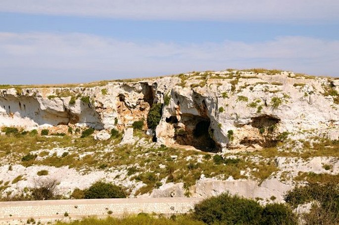 Parco naturale regionale Costa Otranto – S. Maria Leuca – Bosco Tricase