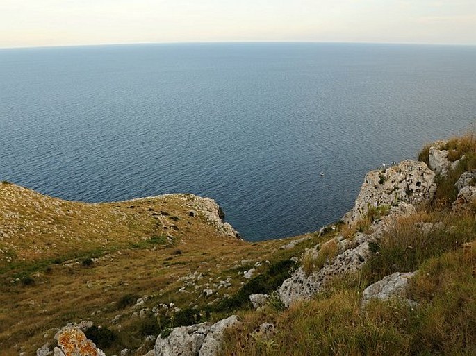 Parco naturale regionale Costa Otranto – S. Maria Leuca – Bosco Tricase