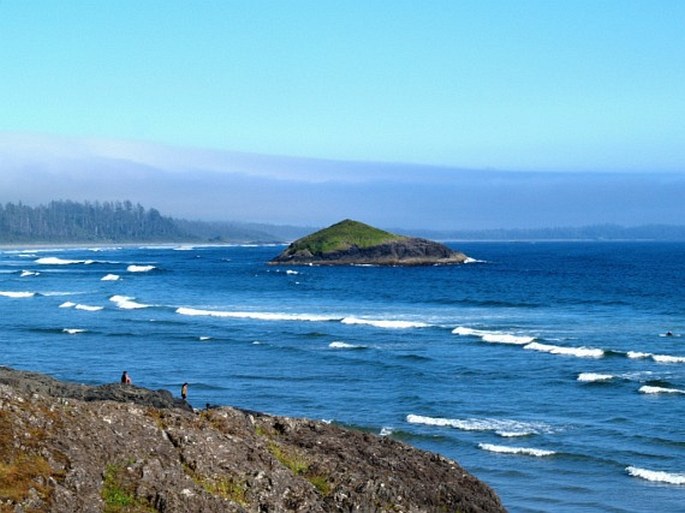 Pacific Rim National Park Reserve