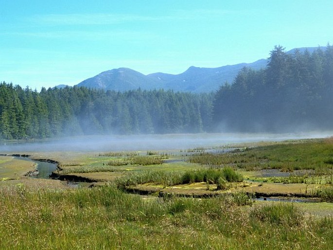 Pacific Rim National Park Reserve