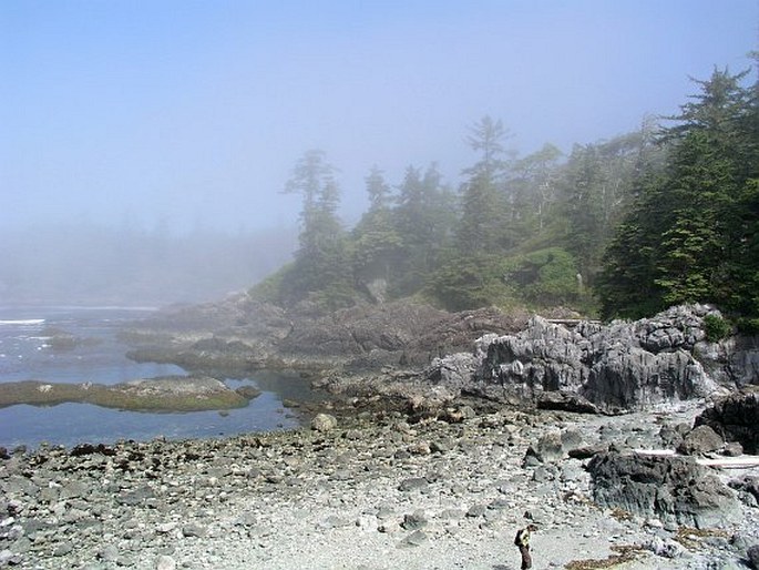 Pacific Rim National Park Reserve