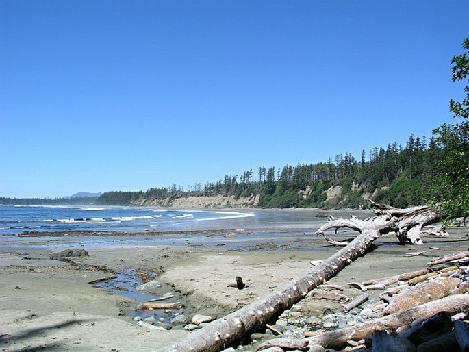 Kanada, British Columbia, Pacific Rim National Park Reserve