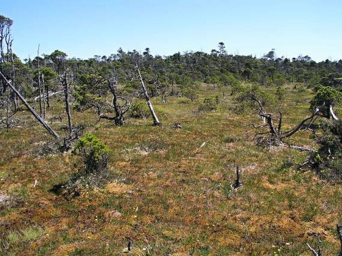 Pacific Rim National Park Reserve