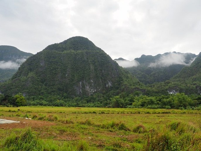 Palawan, Puerto Princessa