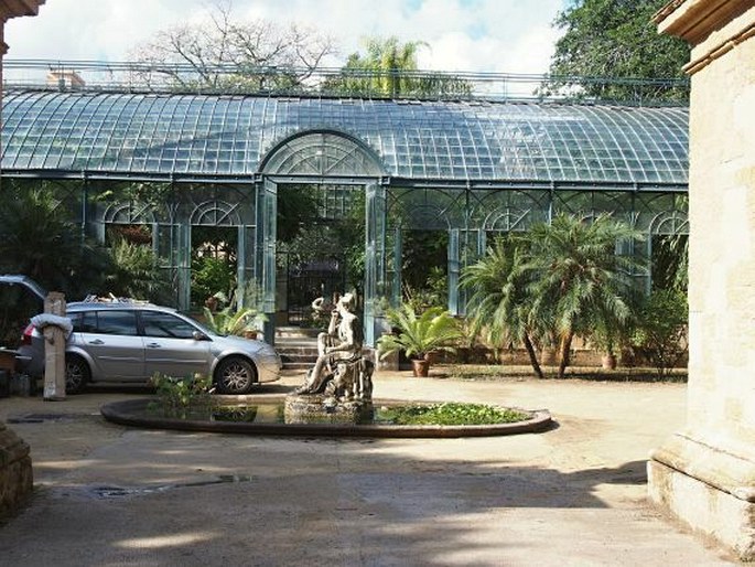 Orto Botanico di Palermo