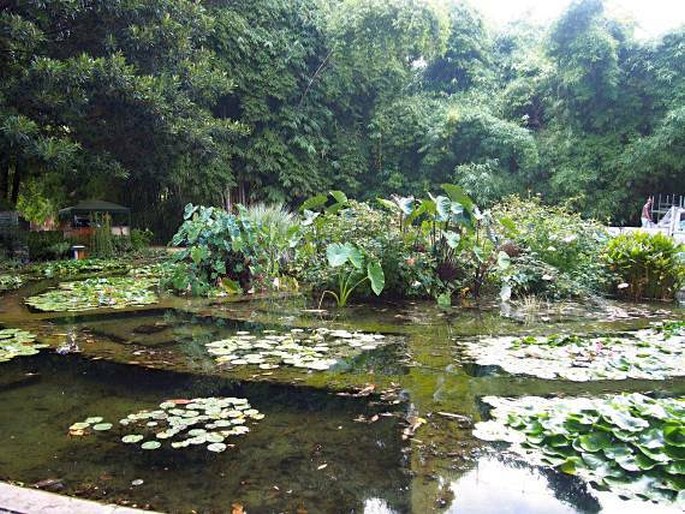 Orto Botanico di Palermo