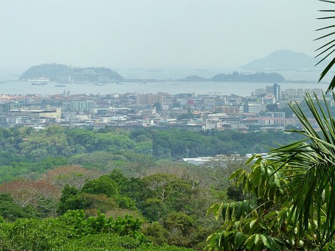 El Parque Natural Metropolitano, Panama