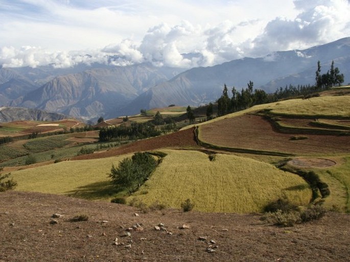 Peru