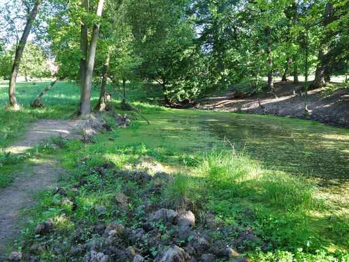 Zámecký park Petrohrad