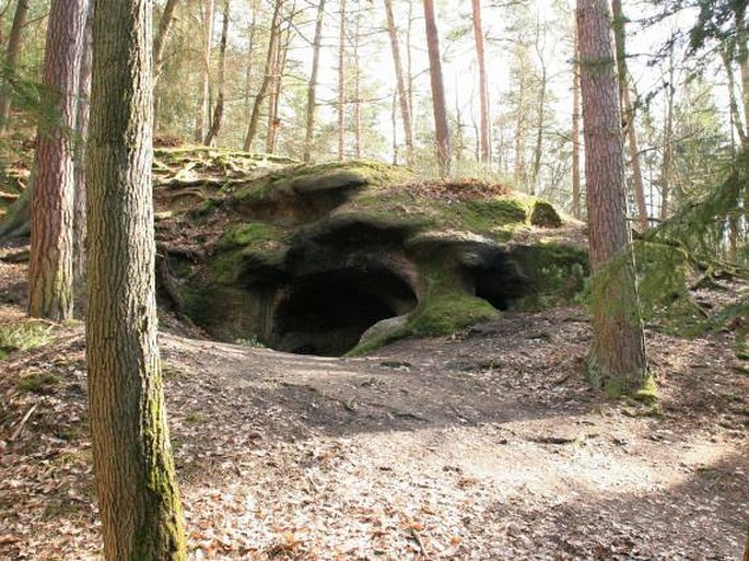 Plzeňská pahorkatina, Petrovka – přírodní rezervace