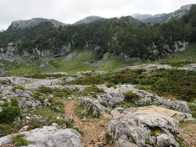 Parque Nacional de Picos de Europa