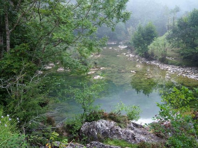 Parque Nacional de Picos de Europa