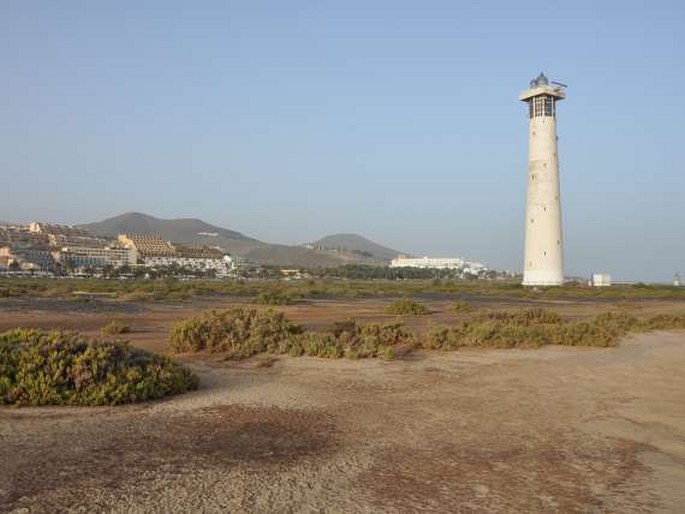 Fuerteventura, Playa de Matorral