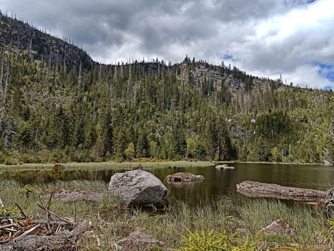 Trojmezenská hornatina, Plešné jezero – 1. zóna Národního parku Šumava