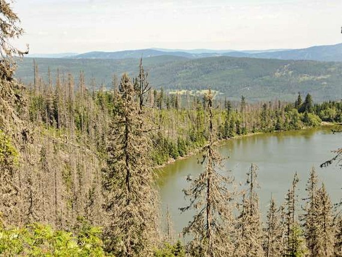 Plešné jezero