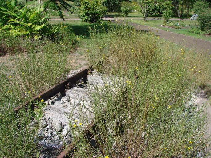 Botanischer Garten der Universität Potsdam