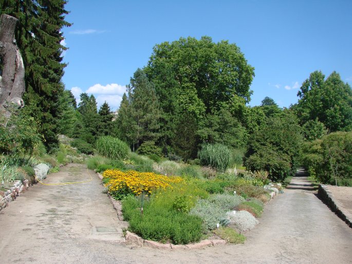 Botanischer Garten der Universität Potsdam