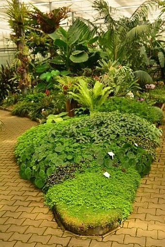 Školní botanická zahrada Střední odborné školy stavební a zahradnické v Praze 9