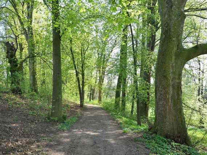 Zámecký park Přestavlky