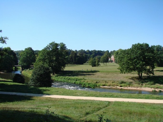 Pücklerův buk v Bad Muskau