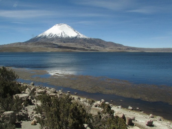 Atacama