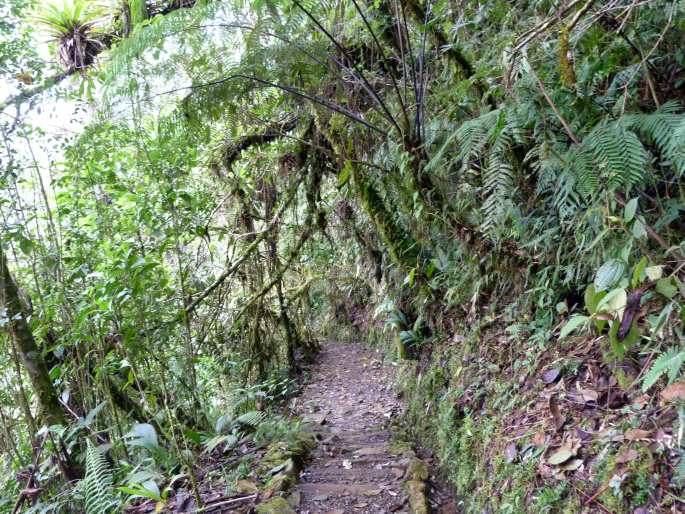 Biotopo del Quetzal