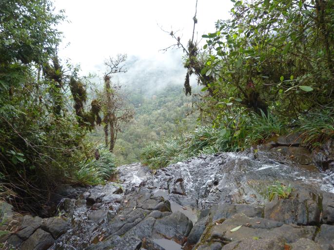 Biotopo del Quetzal