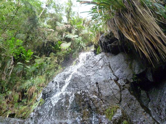 Biotopo del Quetzal