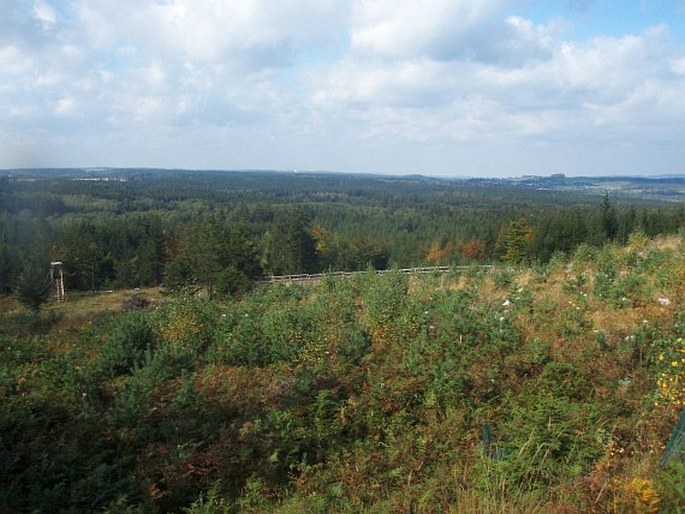 Žďárské vrchy, Ransko - národní přírodní rezervace