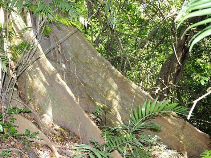 Kostarika, Parque Nacional Rincón de la Vieja