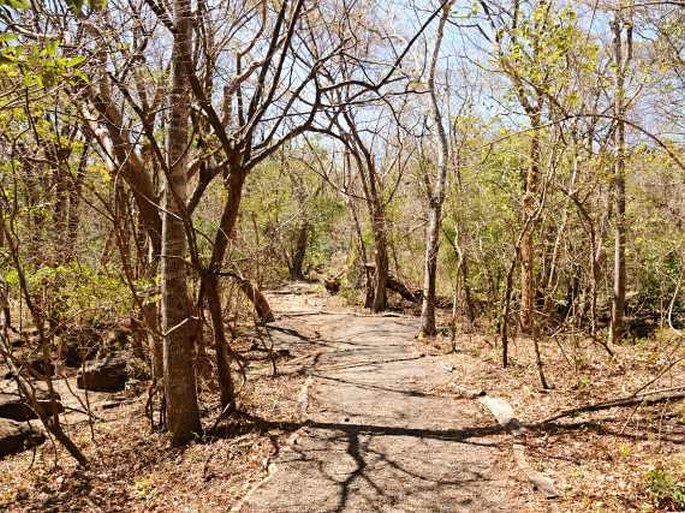 Kostarika, Parque Nacional Santa Rosa