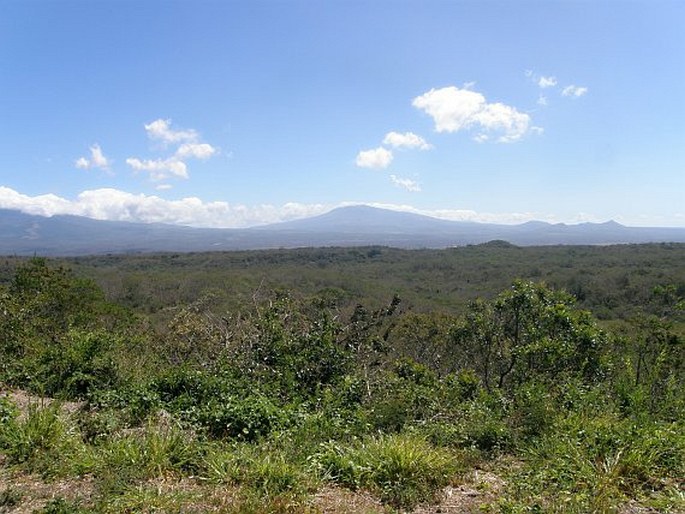 Kostarika, Parque Nacional Santa Rosa