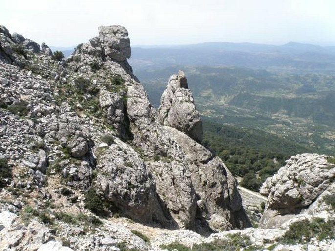 Itálie, Sardinie, Monte Corrasi