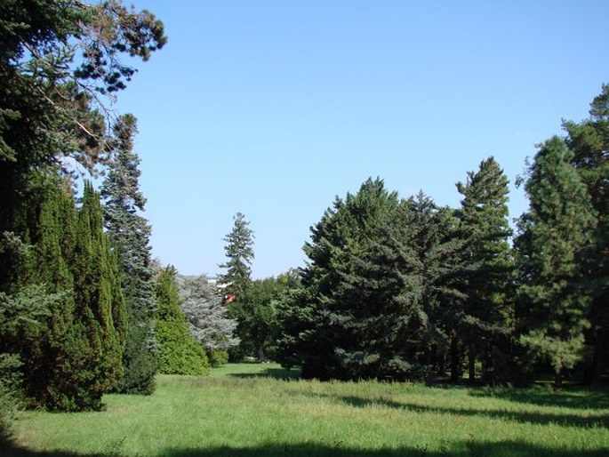 Schönbrunn