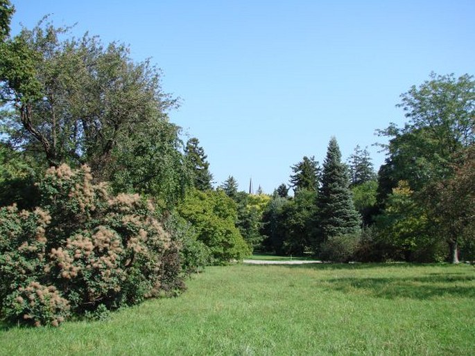 Schönbrunn