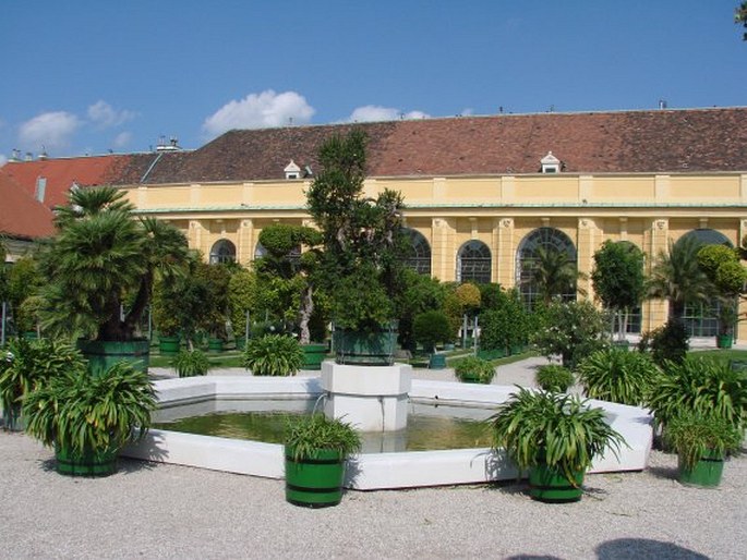 Schönbrunn