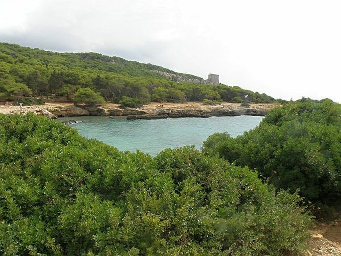 Parco naturale regionale di Porto Selvaggio e Palude del Capitano