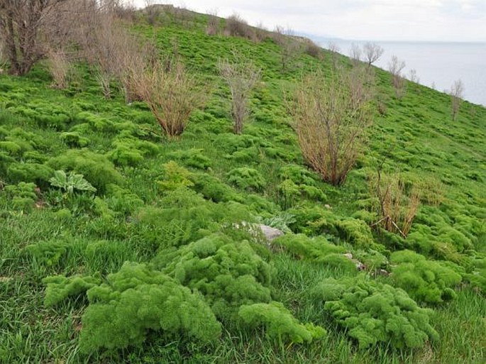 Arménie, Národní park Sevan