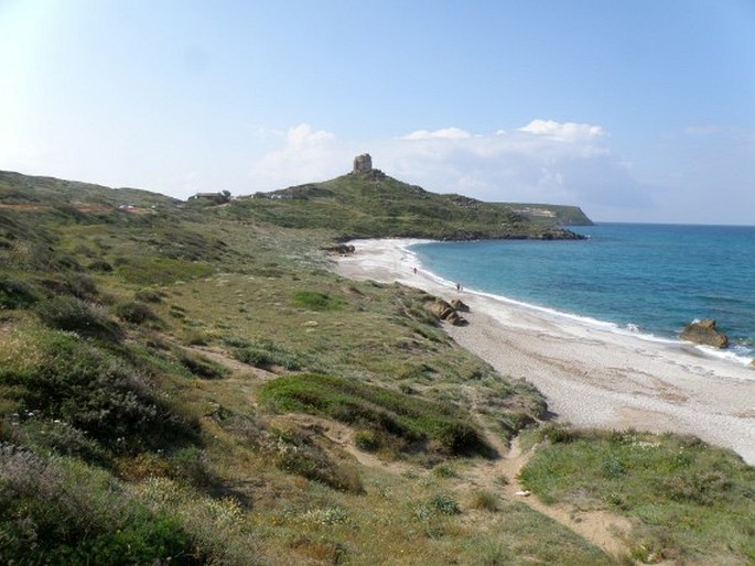 Itálie, Sardinie, Area marina protetta Penisola del Sinis – Isola Mal di Ventre