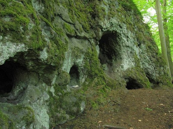 Doupovské vrchy, Skalky skřítků - národní přírodní památka